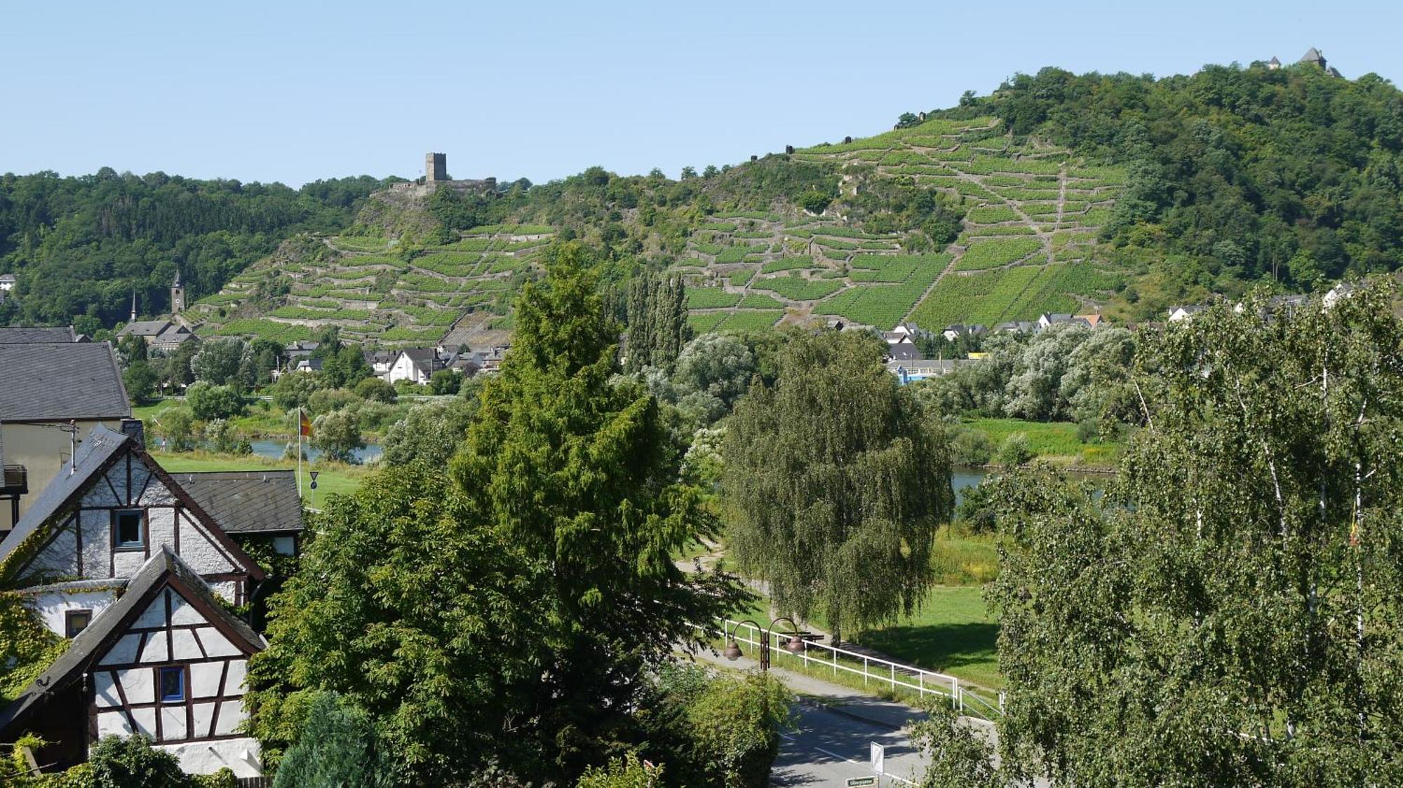 Hotel-Garni-Kachelburg Dieblich Exterior photo